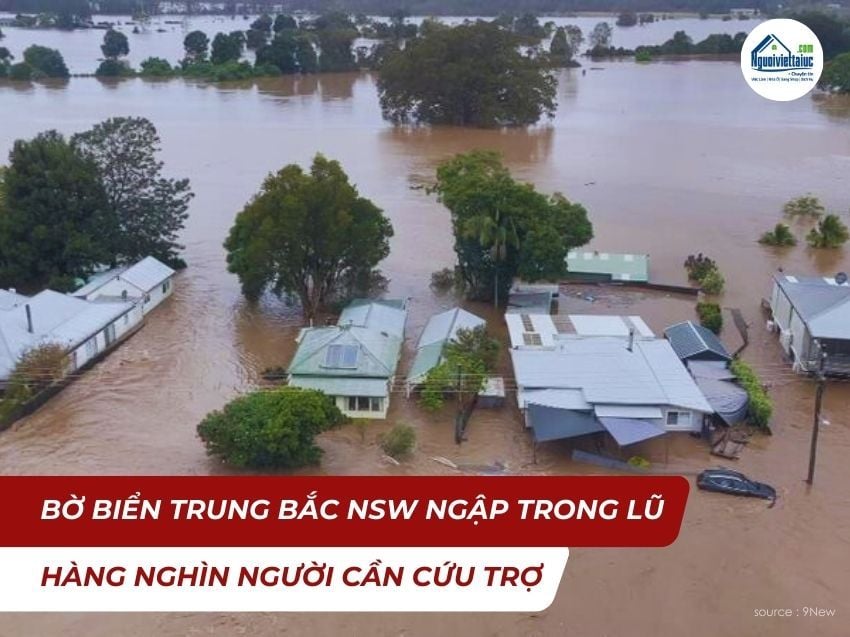 Lũ lịch sử cô lập gần 50.000 người ở bờ biển Trung Bắc NSW